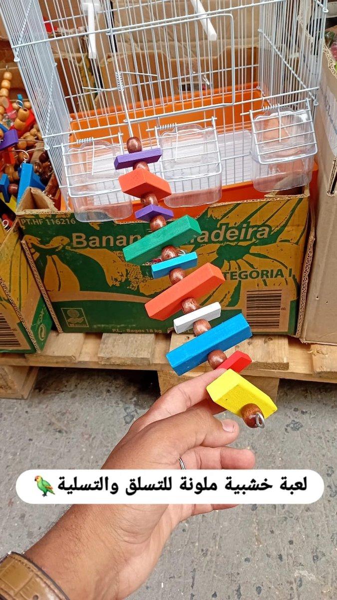 Jeux pour les oiseaux