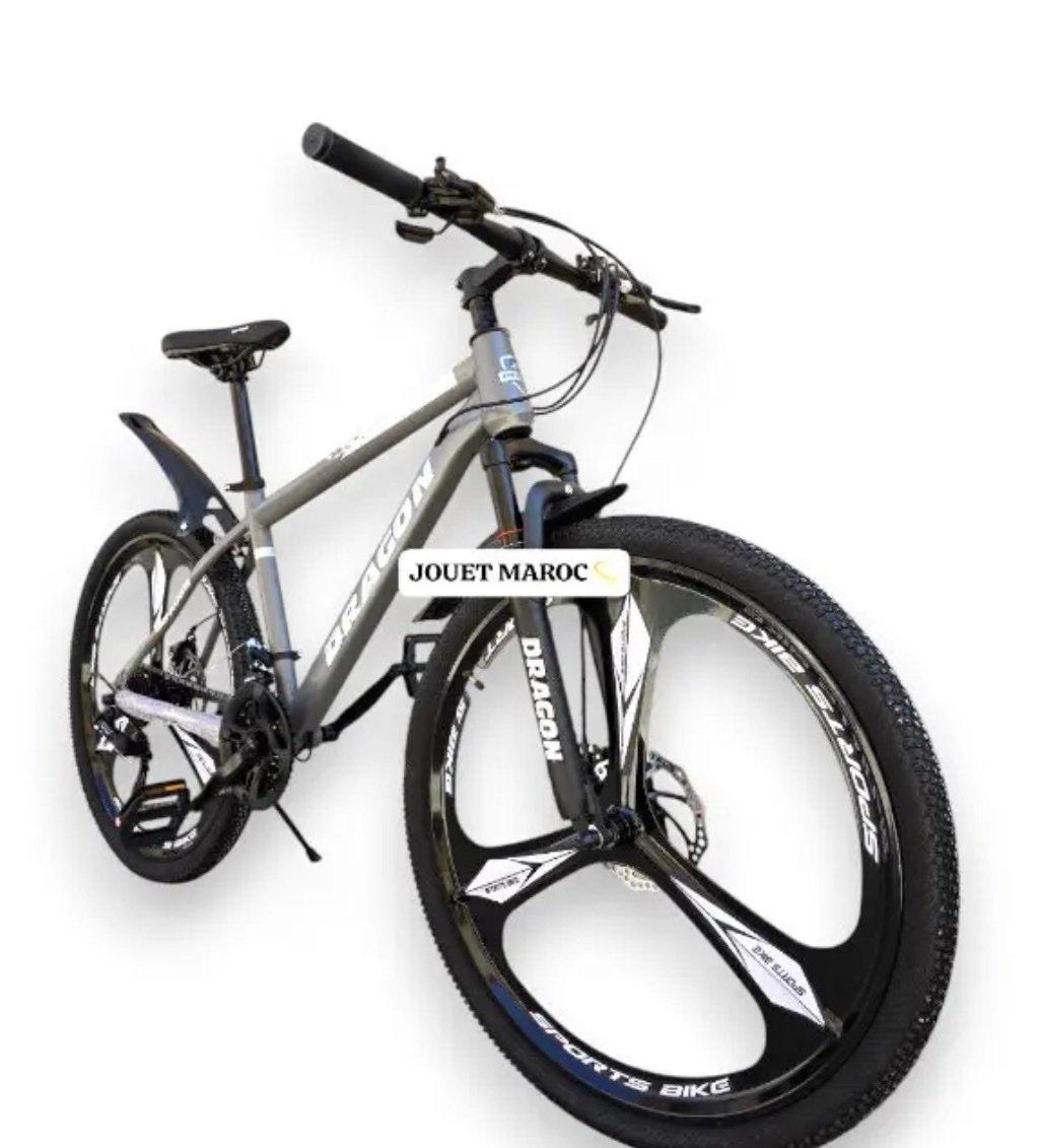 VTT Dragon 26 pouces, roues à bâtons, freins à disque, 2/3